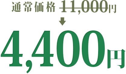 通常価格 11,000円 → 4,400円