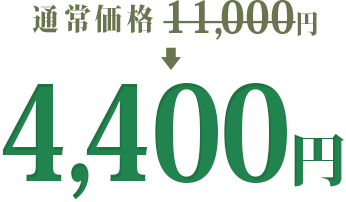 通常価格 11,000円 → 4,400円