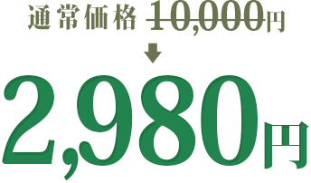 通常価格 10,000円 → 2,980円